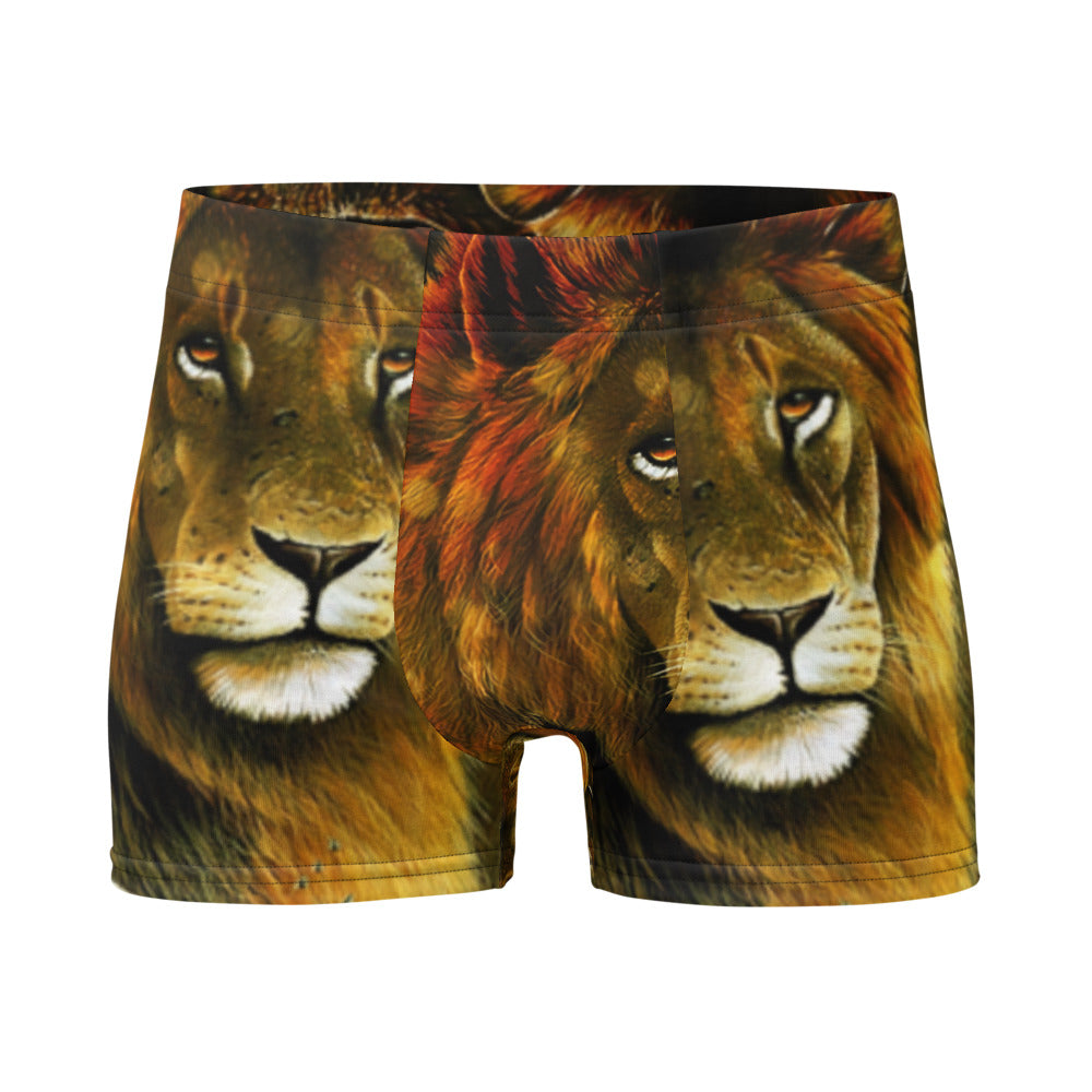 Boxer Briefs