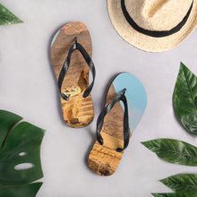 Load image into Gallery viewer, Flip-Flops
