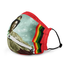 Load image into Gallery viewer, Premium Face Mask

