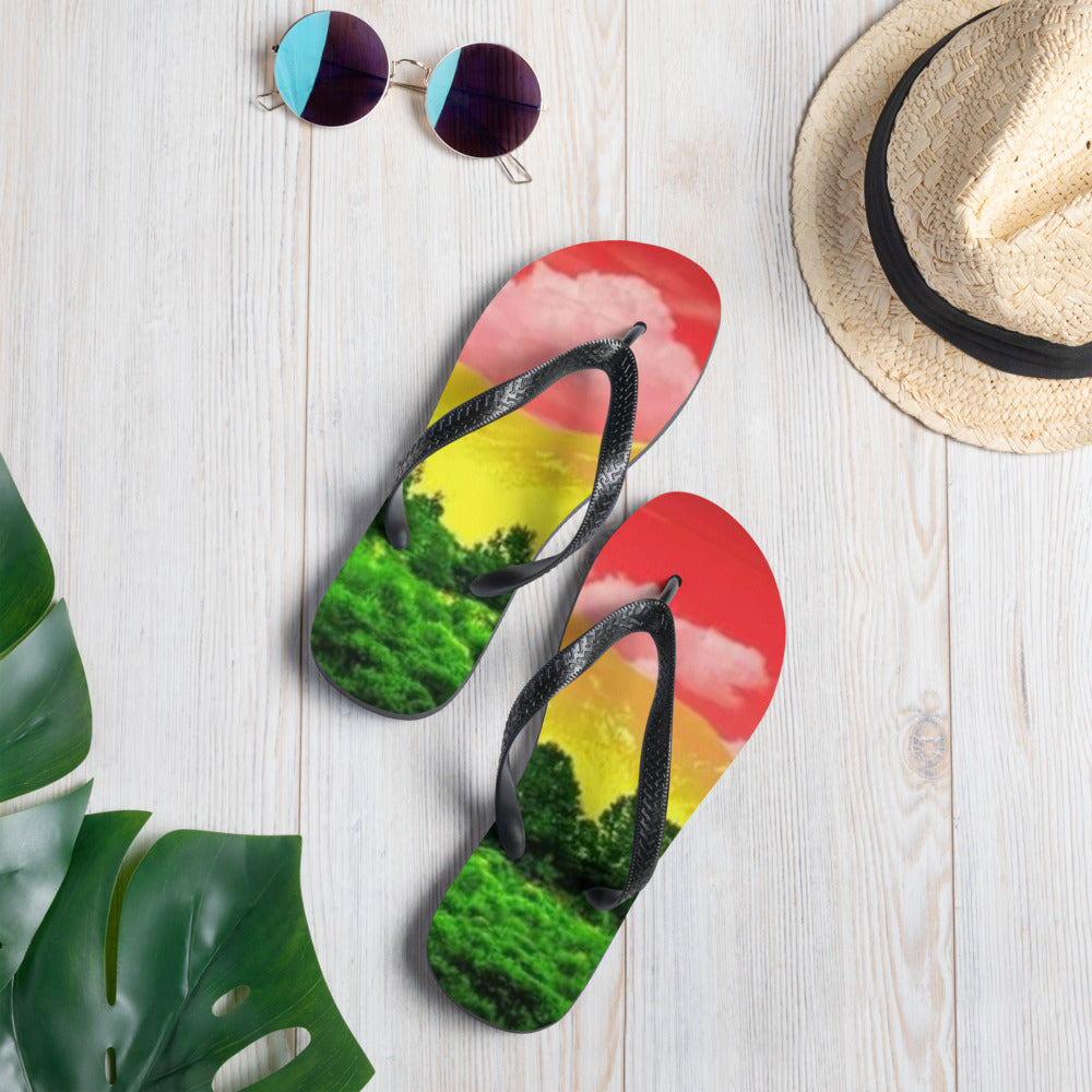 Flip-Flops