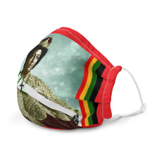 Load image into Gallery viewer, Premium Face Mask
